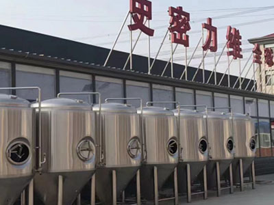 临澧精酿啤酒设备厂—市场规模与跨界新需求